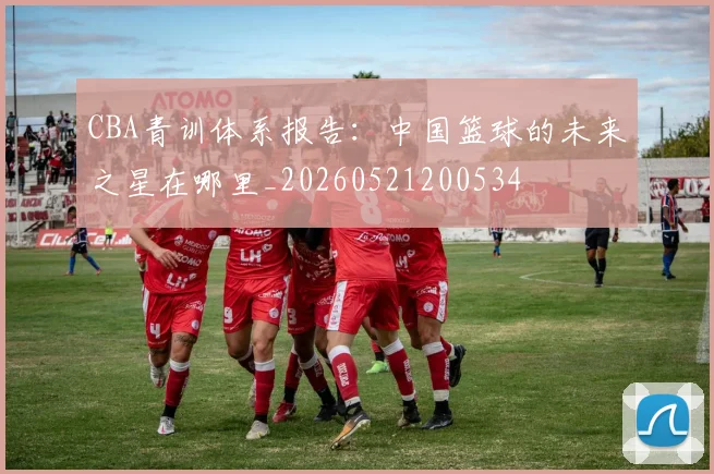 CBA青训体系报告:中国篮球的未来之星在哪里_20260521200534