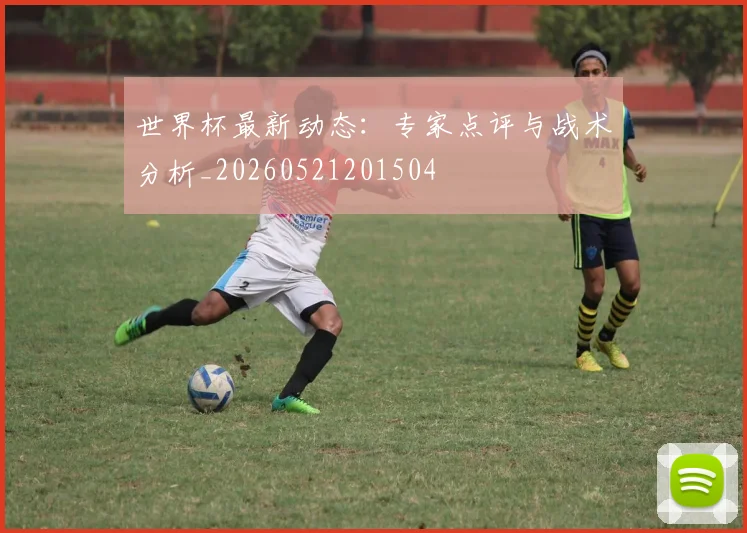 世界杯最新动态:专家点评与战术分析_20260521201504