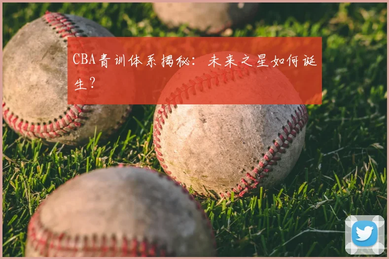 CBA青训体系揭秘:未来之星如何诞生?