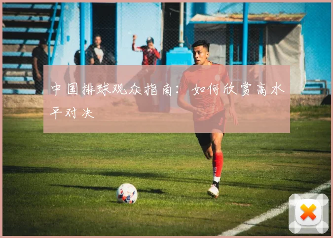 中国排球观众指南:如何欣赏高水平对决