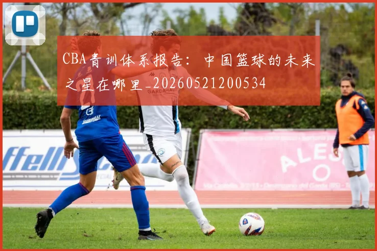 CBA青训体系报告:中国篮球的未来之星在哪里_20260521200534