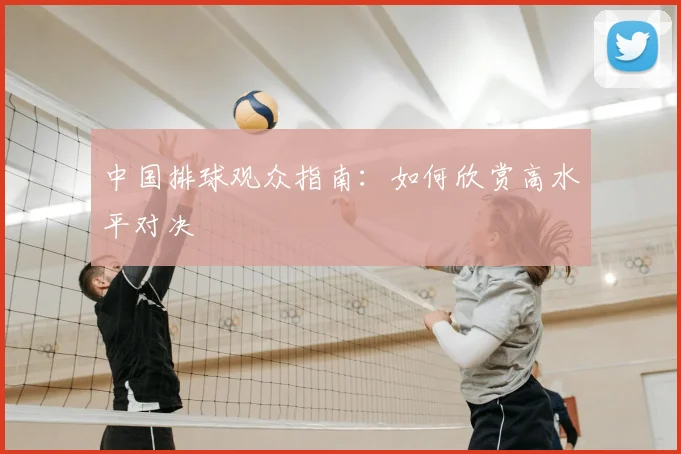 中国排球观众指南:如何欣赏高水平对决